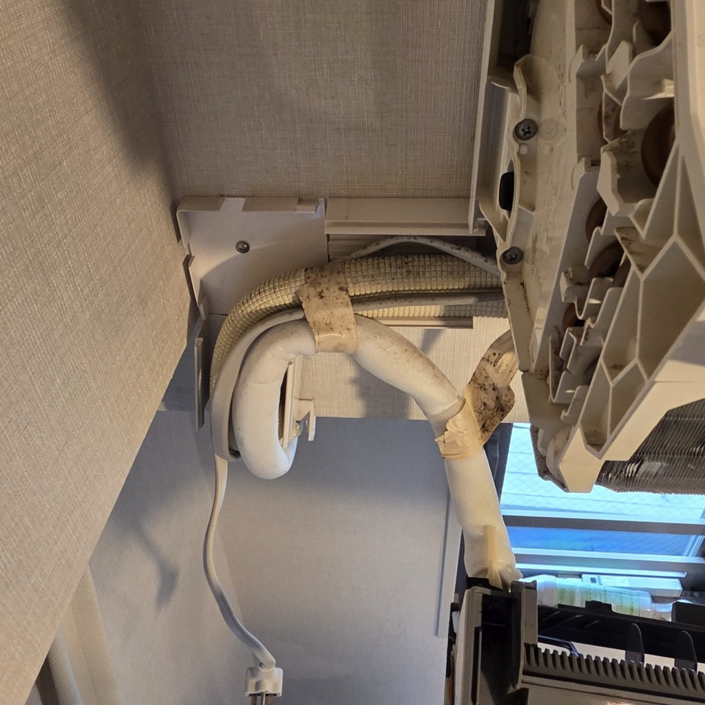 調査で原因を特定する